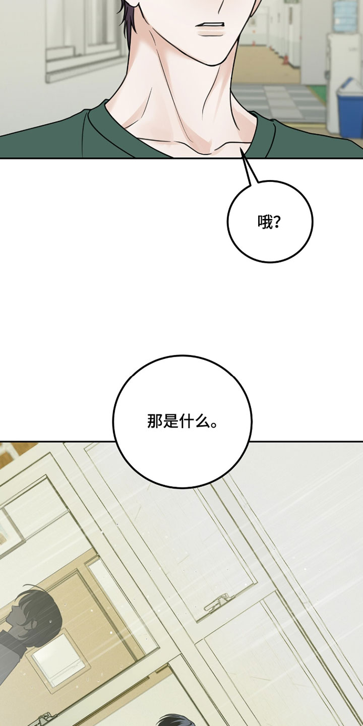 雨后的过路人漫画,第43章：令人开心的消息3图