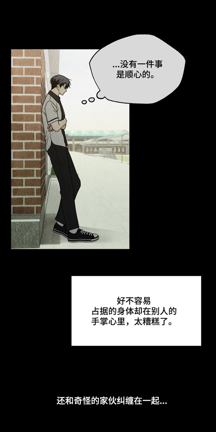 雨后的陌生人漫画,第40章：最好的选择5图