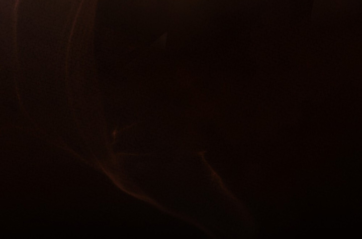 冷面公爵非要娶我免费阅读漫画,第36章：你醒了1图