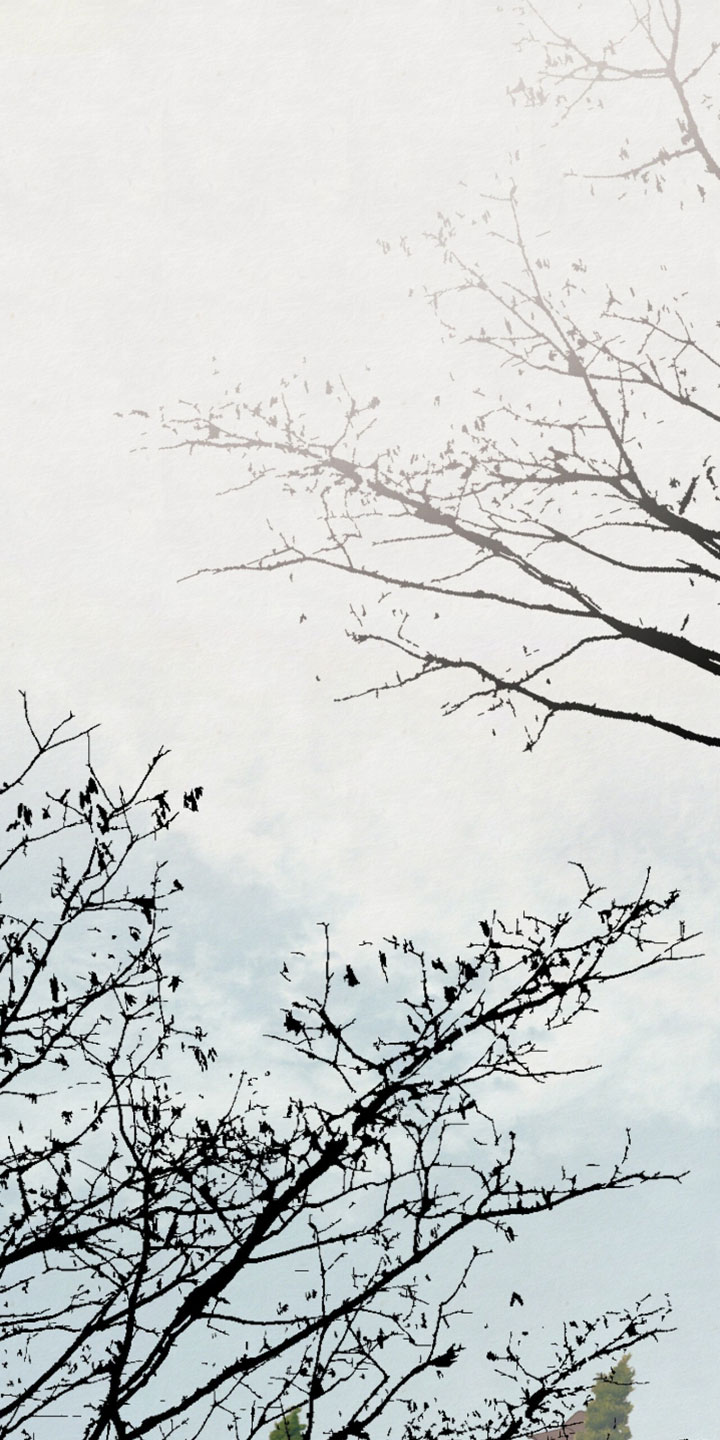 画涯欲海浮笼主要角色有谁漫画,第37章：别留下任何痕迹4图