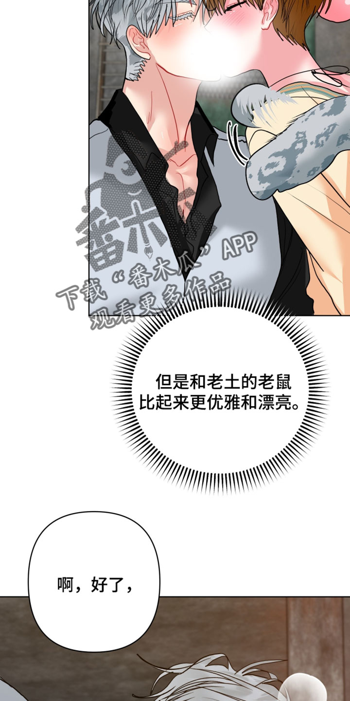 陌生挚爱漫画,第28章：【番外】他应该不是坏雪豹5图