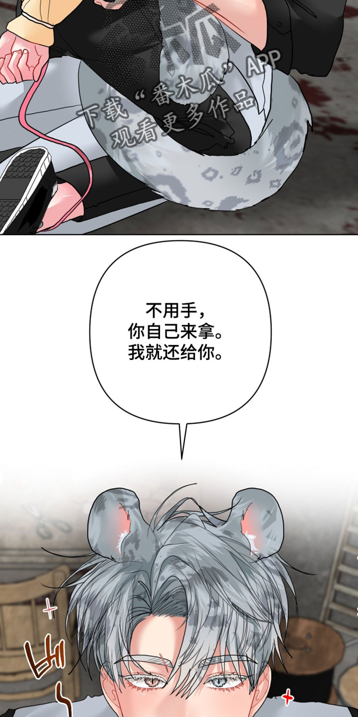 陌生挚爱漫画,第28章：【番外】他应该不是坏雪豹4图