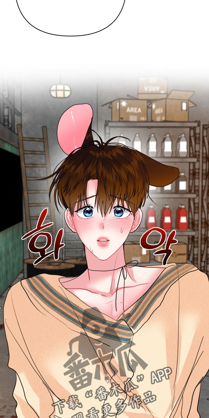 陌生挚爱漫画,第28章：【番外】他应该不是坏雪豹2图