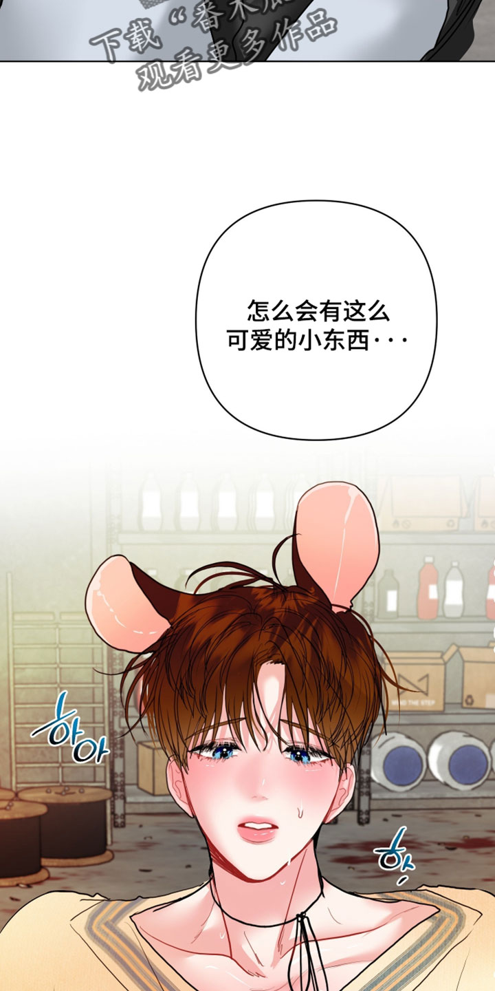 陌生挚爱漫画,第28章：【番外】他应该不是坏雪豹1图