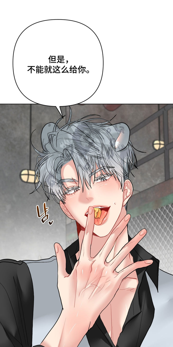 陌生挚爱漫画,第28章：【番外】他应该不是坏雪豹1图