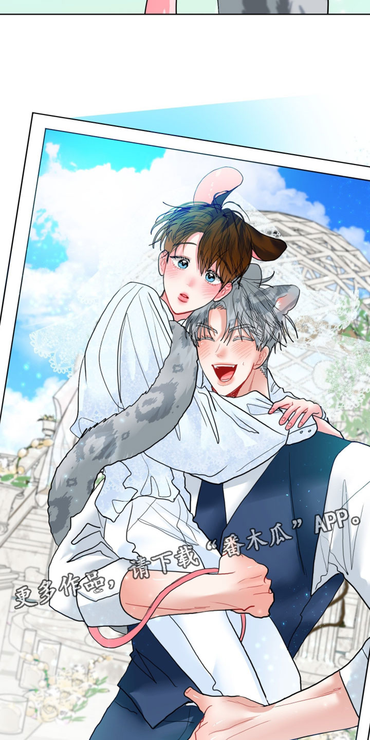陌生挚爱漫画,第28章：【番外】他应该不是坏雪豹2图