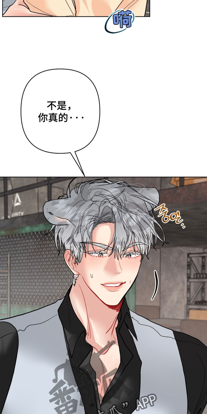 陌生挚爱漫画,第28章：【番外】他应该不是坏雪豹5图
