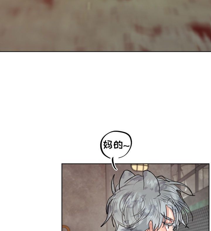 陌生挚爱漫画,第28章：【番外】他应该不是坏雪豹3图