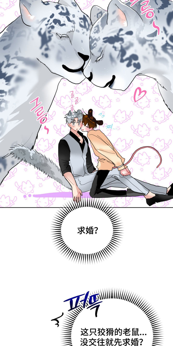 陌生挚爱漫画,第28章：【番外】他应该不是坏雪豹5图