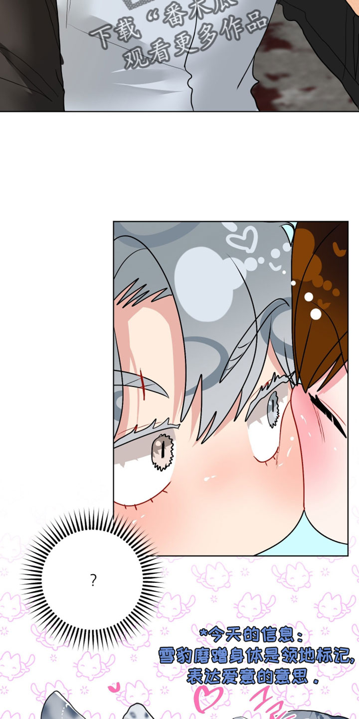 陌生挚爱漫画,第28章：【番外】他应该不是坏雪豹4图