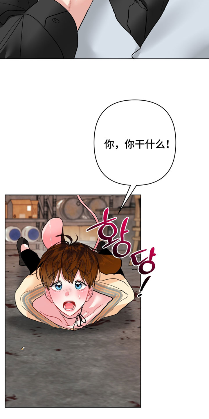 陌生挚爱漫画,第28章：【番外】他应该不是坏雪豹2图