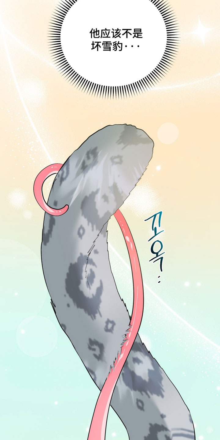 陌生挚爱漫画,第28章：【番外】他应该不是坏雪豹1图