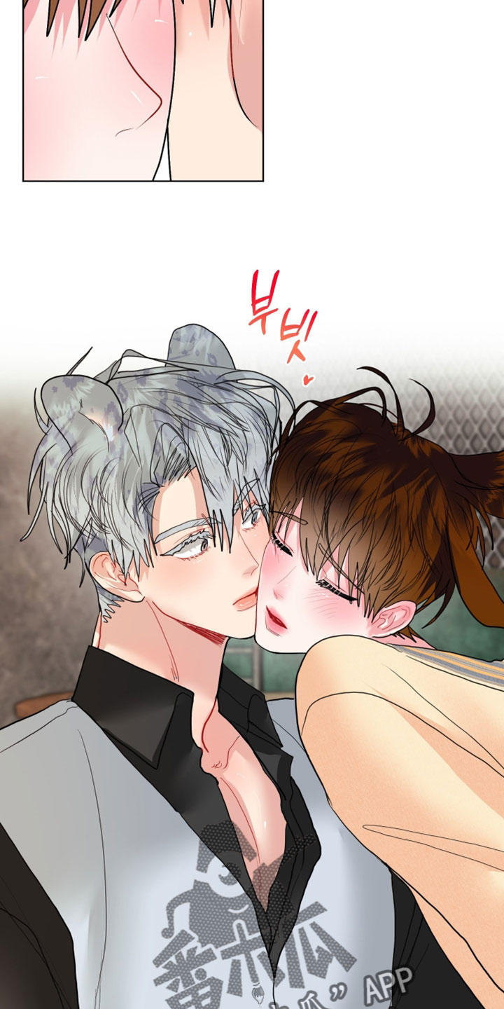 陌生挚爱漫画,第28章：【番外】他应该不是坏雪豹3图
