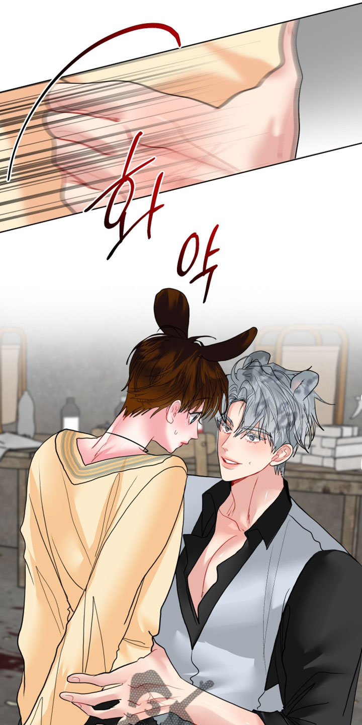 陌生挚爱漫画,第28章：【番外】他应该不是坏雪豹3图