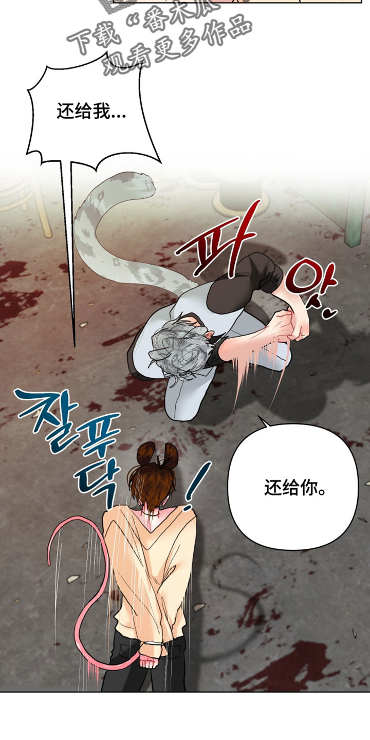 陌生挚爱漫画,第28章：【番外】他应该不是坏雪豹5图