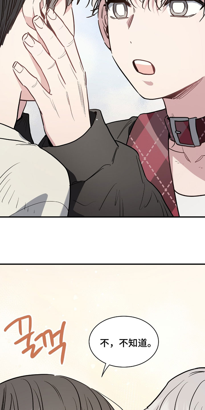 星光与谎言漫画,第34章：想起来了3图