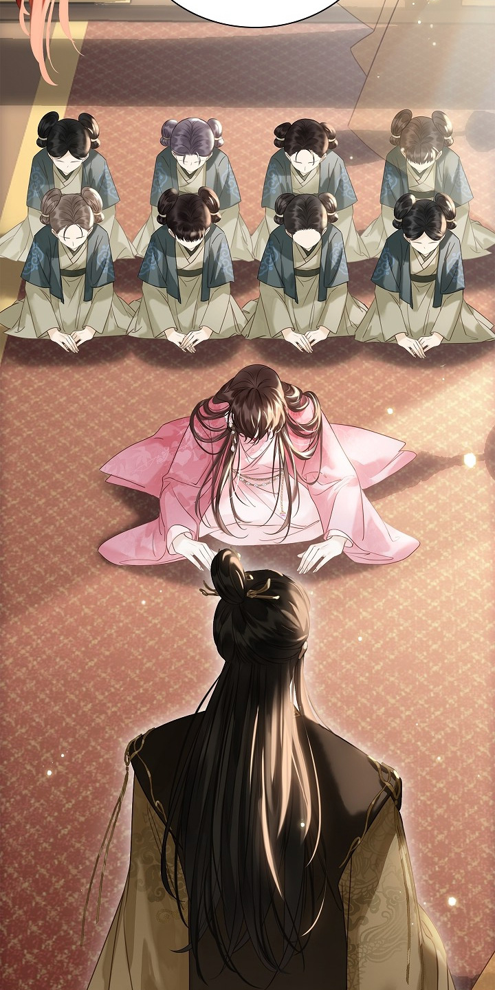 君心为我倾剧情解析漫画,第28章：欺瞒了朕5图