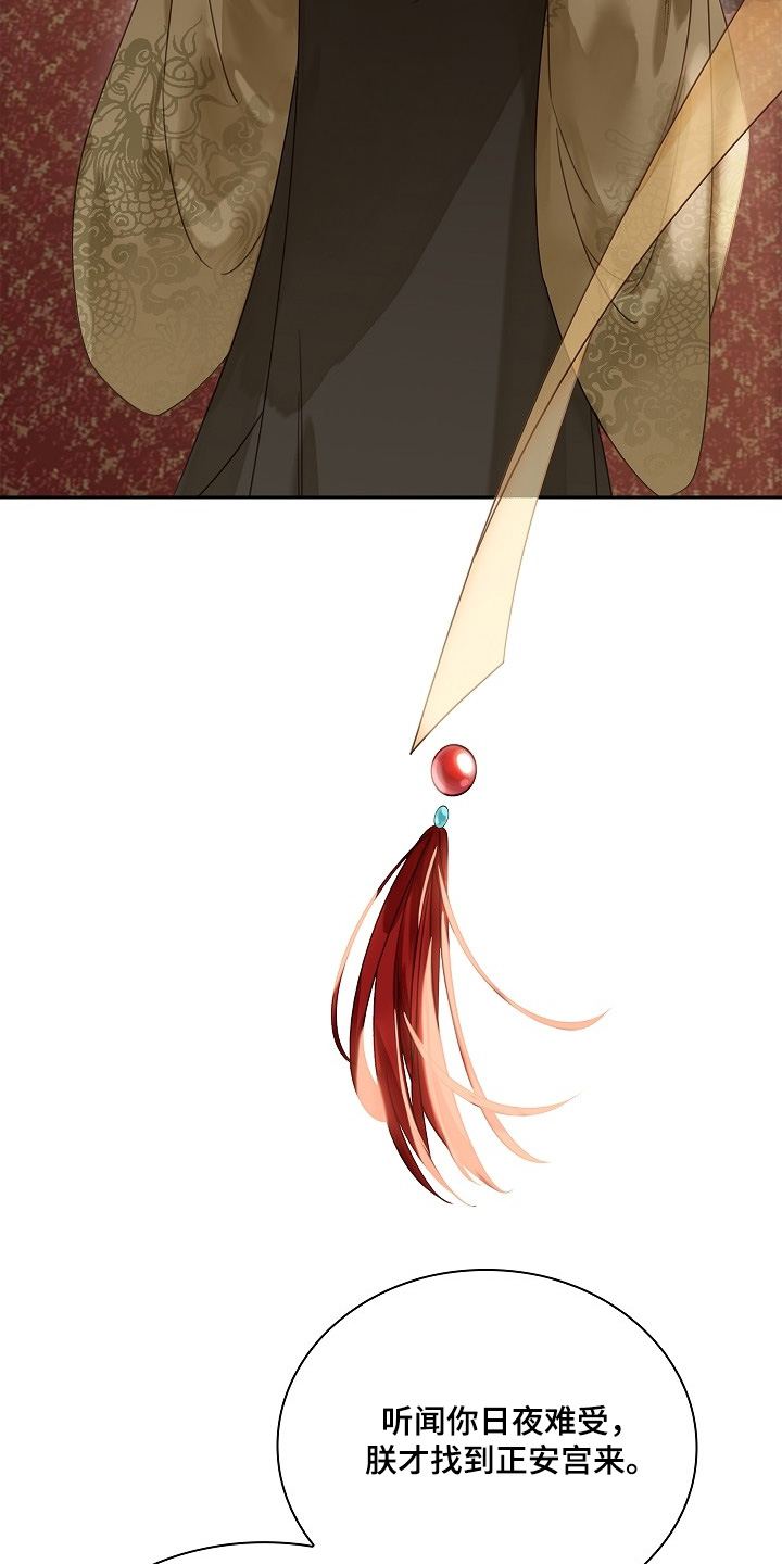 君倾心我为君倾漫画,第28章：欺瞒了朕1图