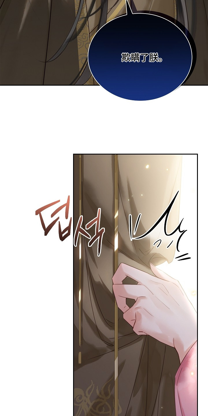 君倾心我为君倾漫画,第28章：欺瞒了朕5图