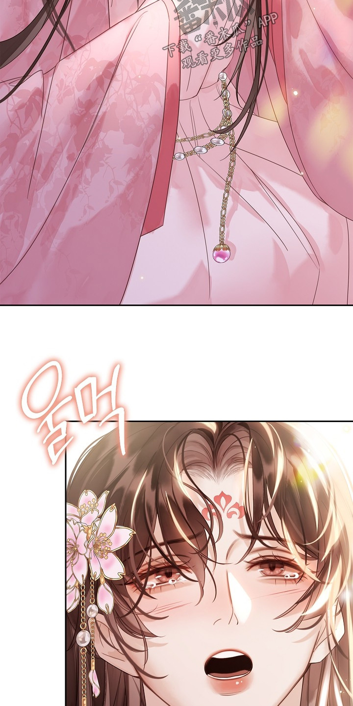 君倾心我为君倾漫画,第28章：欺瞒了朕1图