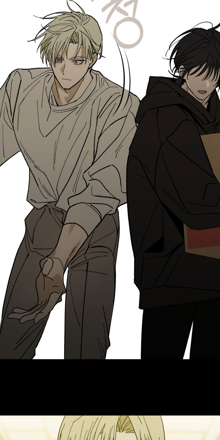 我的狐妖同事漫画在哪看漫画,第27章：我看见你了4图