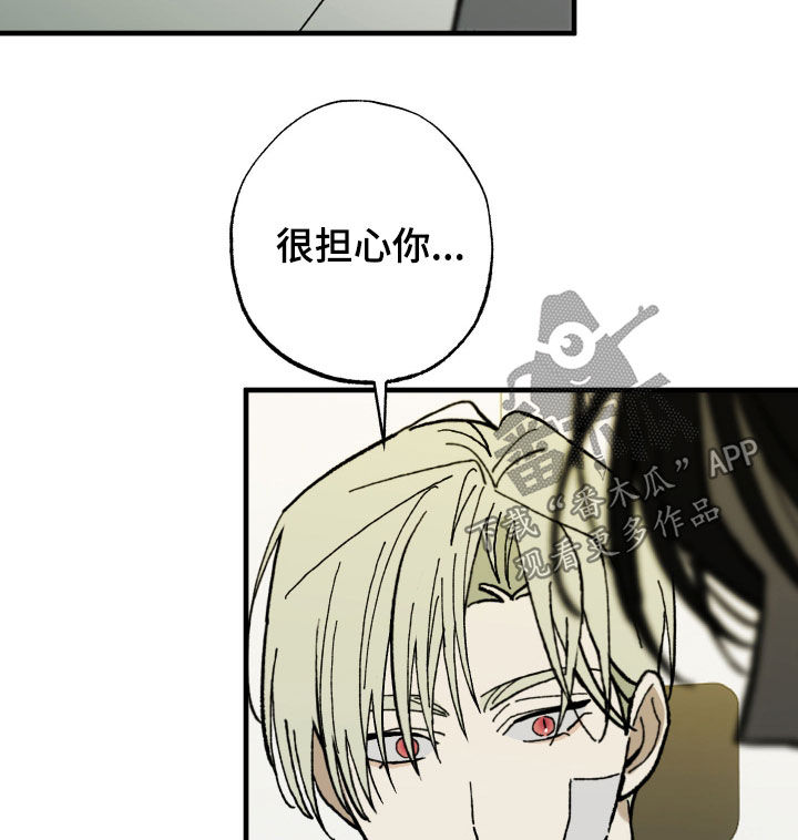 我的狐仙女帝大结局漫画,第29章：胡思乱想2图