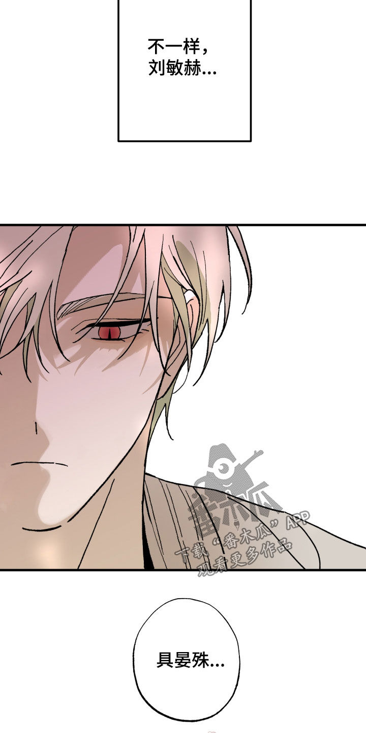 我的狐妖同事漫画在哪看漫画,第25章：奇怪的人类3图