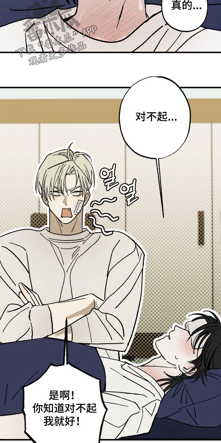 我的狐妖同事漫画在哪看漫画,第28章：生病1图