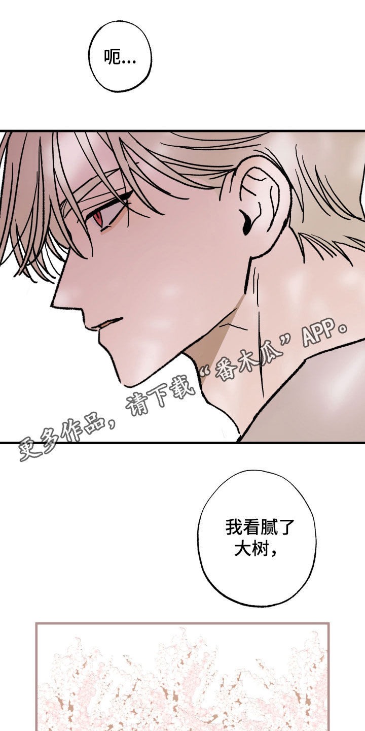 我的狐妖同事漫画,第24章：暧昧1图