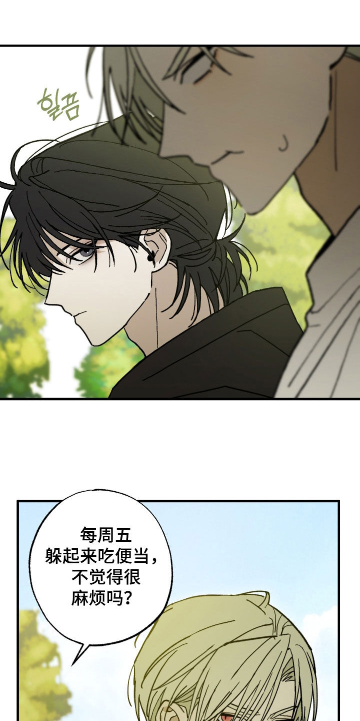 我的狐妖女帝免费阅读漫画漫画,第25章：奇怪的人类3图