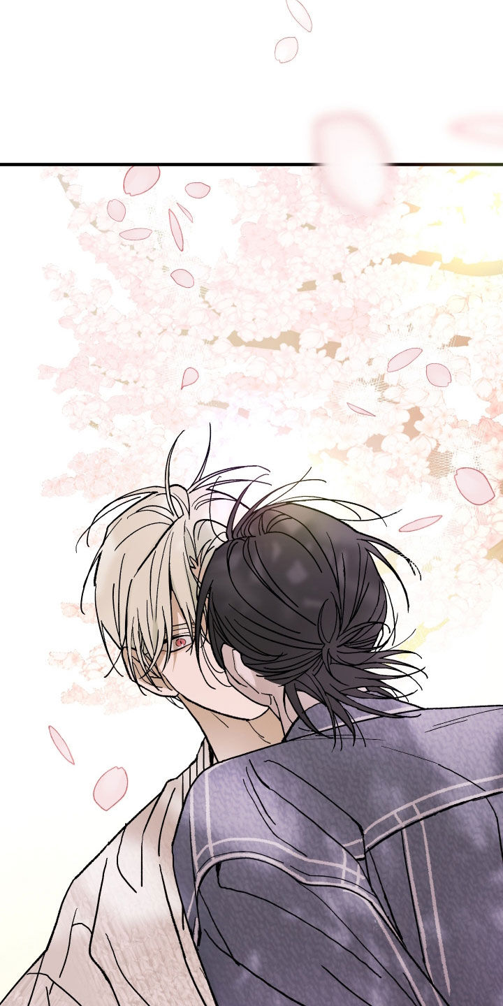 我的狐妖同事漫画在哪看漫画,第25章：奇怪的人类4图