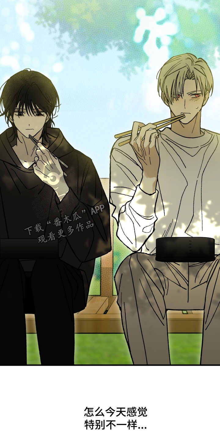 我的狐妖女帝免费阅读漫画漫画,第25章：奇怪的人类2图