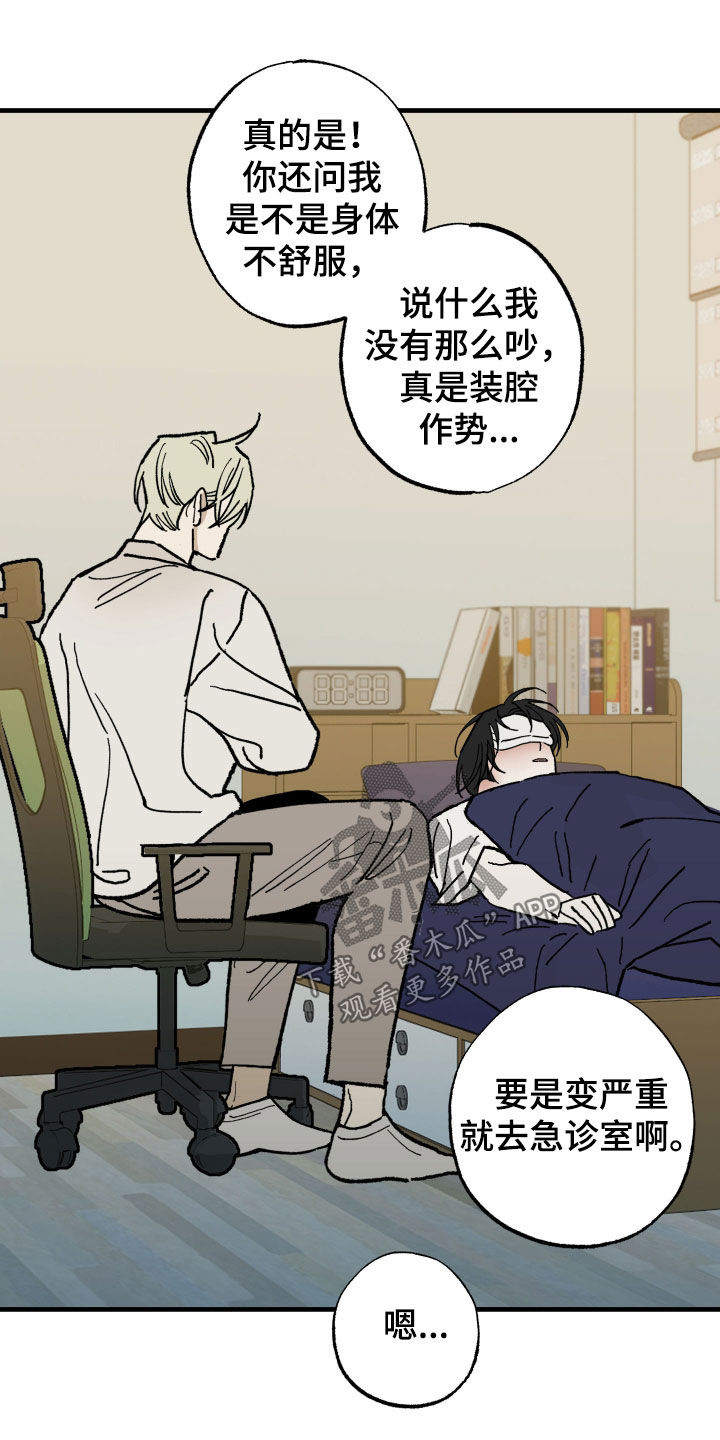 我的狐妖同事漫画在哪看漫画,第28章：生病3图