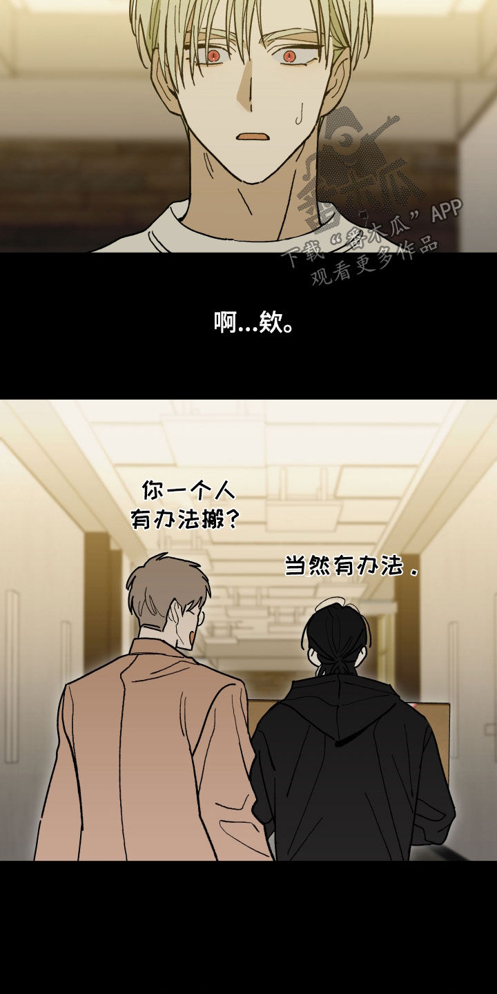 我的狐妖同事漫画在哪看漫画,第27章：我看见你了5图