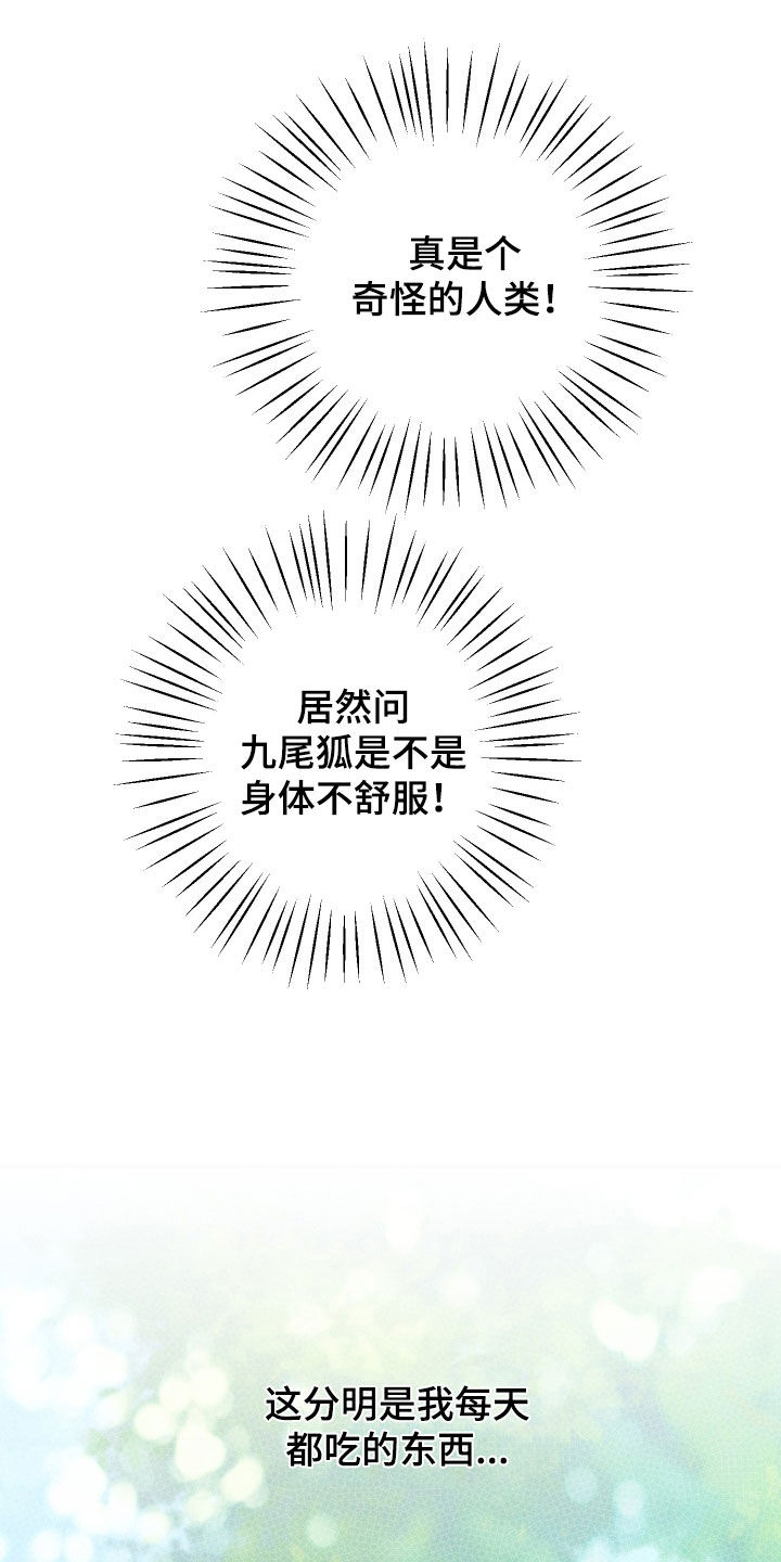 我的狐妖女帝免费阅读漫画漫画,第25章：奇怪的人类1图