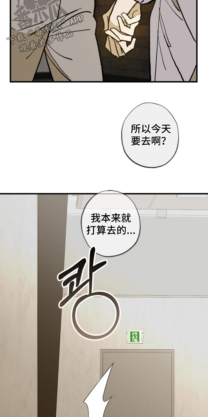 我的狐妖同事后续剧情漫画,第26章：撞见1图