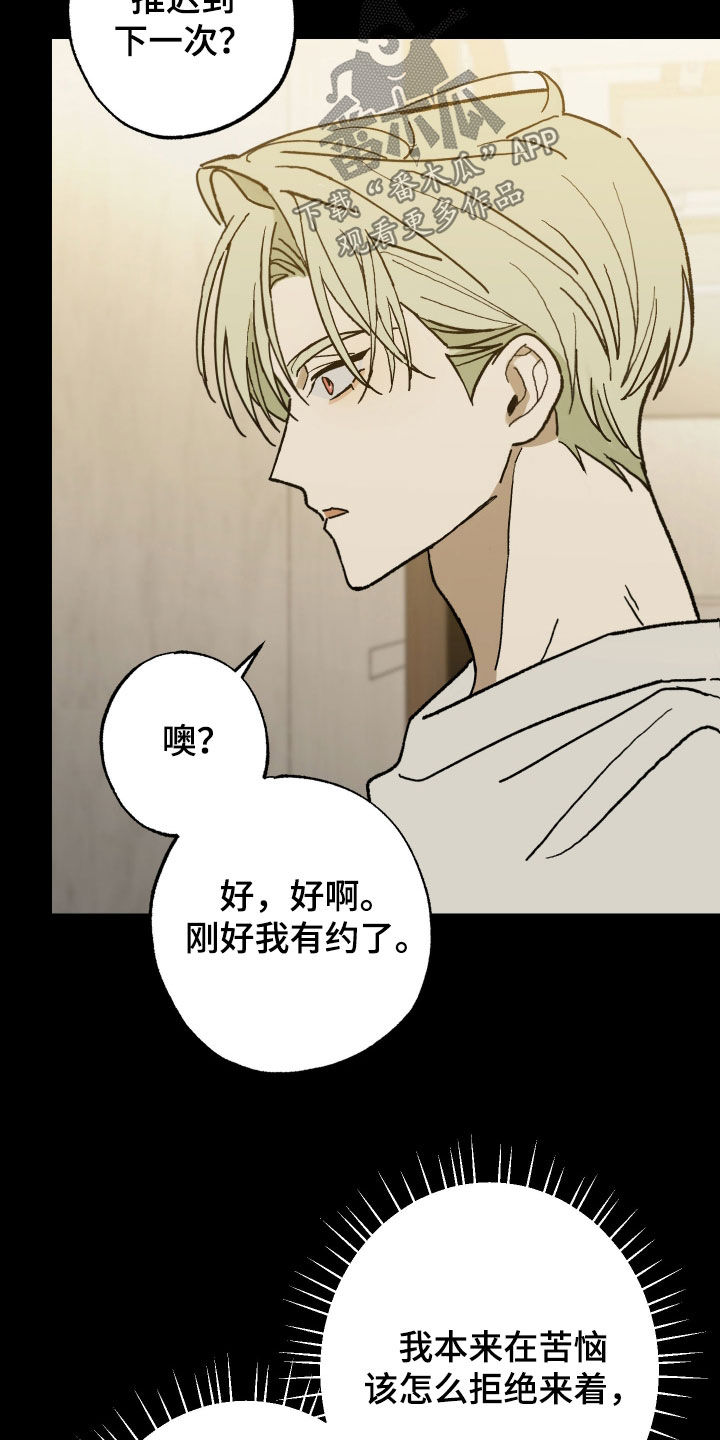 我的狐妖同事漫画在哪看漫画,第27章：我看见你了4图