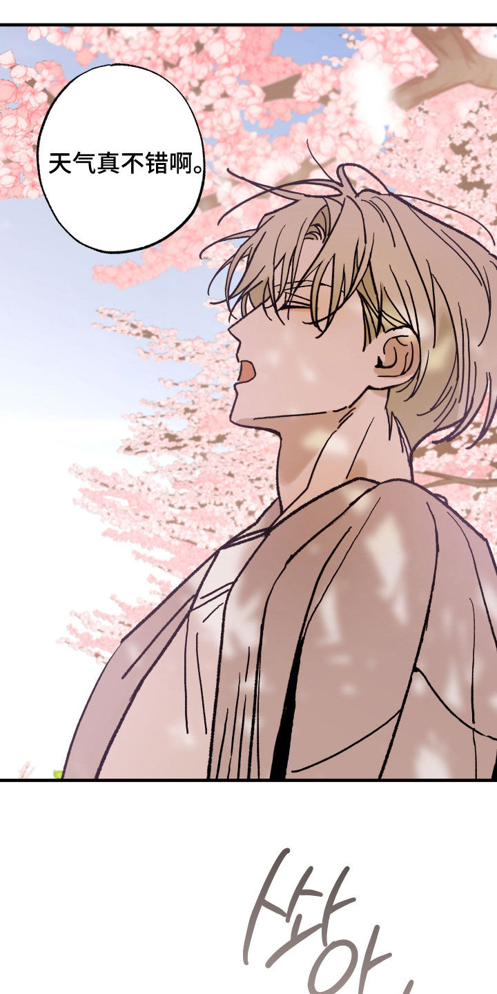 我的狐妖女帝免费阅读漫画漫画,第23章：郊游2图