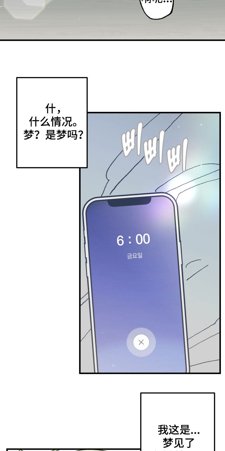 我的狐妖女帝免费阅读漫画漫画,第25章：奇怪的人类5图