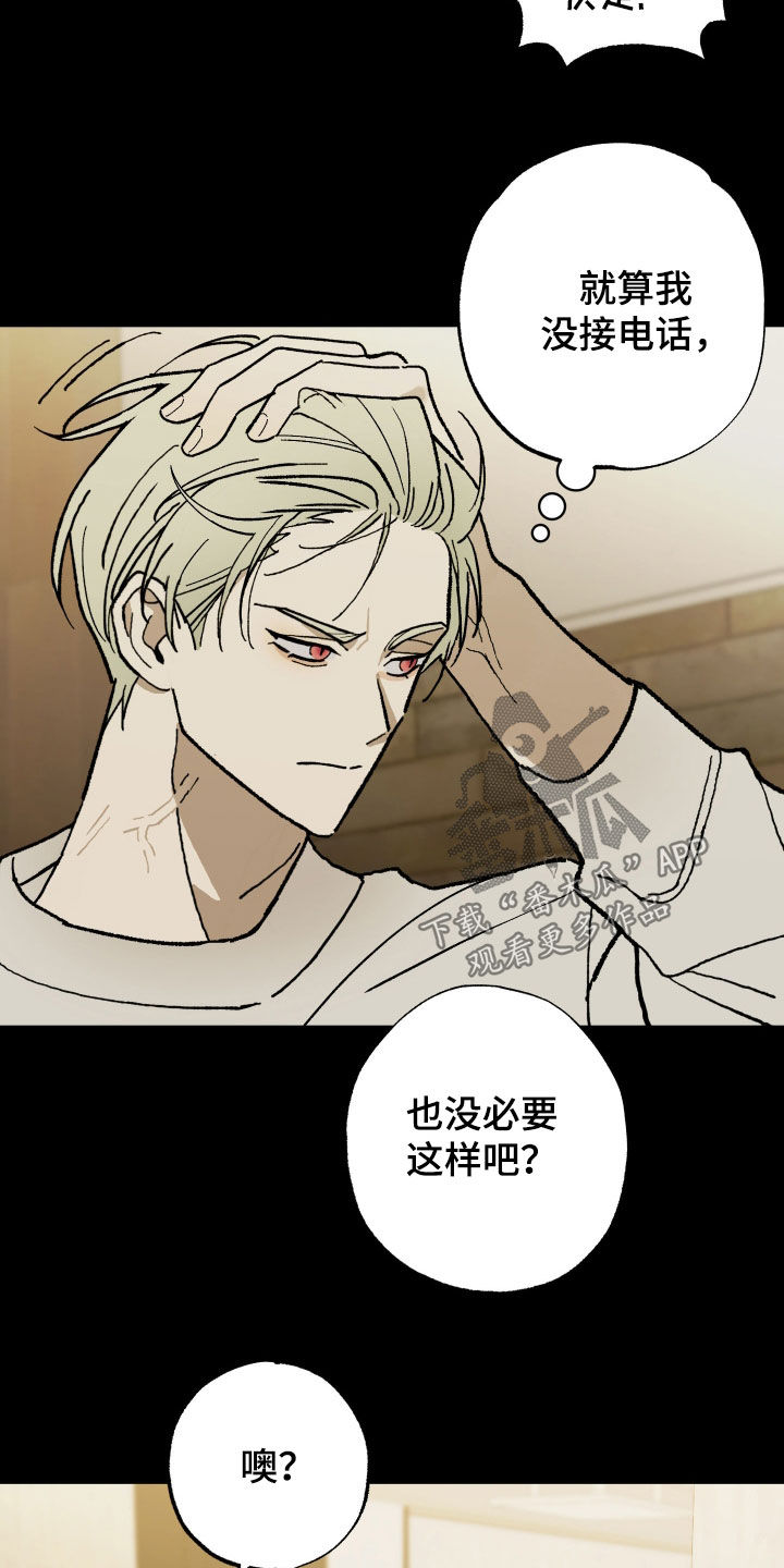 我的狐妖同事漫画在哪看漫画,第27章：我看见你了1图