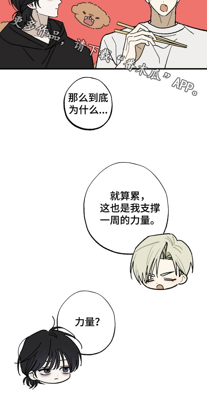 我的狐妖女帝免费阅读漫画漫画,第25章：奇怪的人类5图