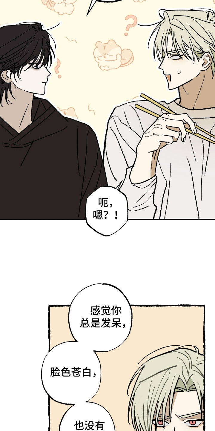 我的狐妖女帝免费阅读漫画漫画,第25章：奇怪的人类3图