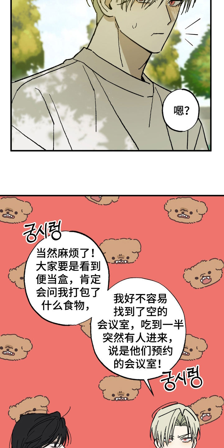 我的狐妖女帝免费阅读漫画漫画,第25章：奇怪的人类4图