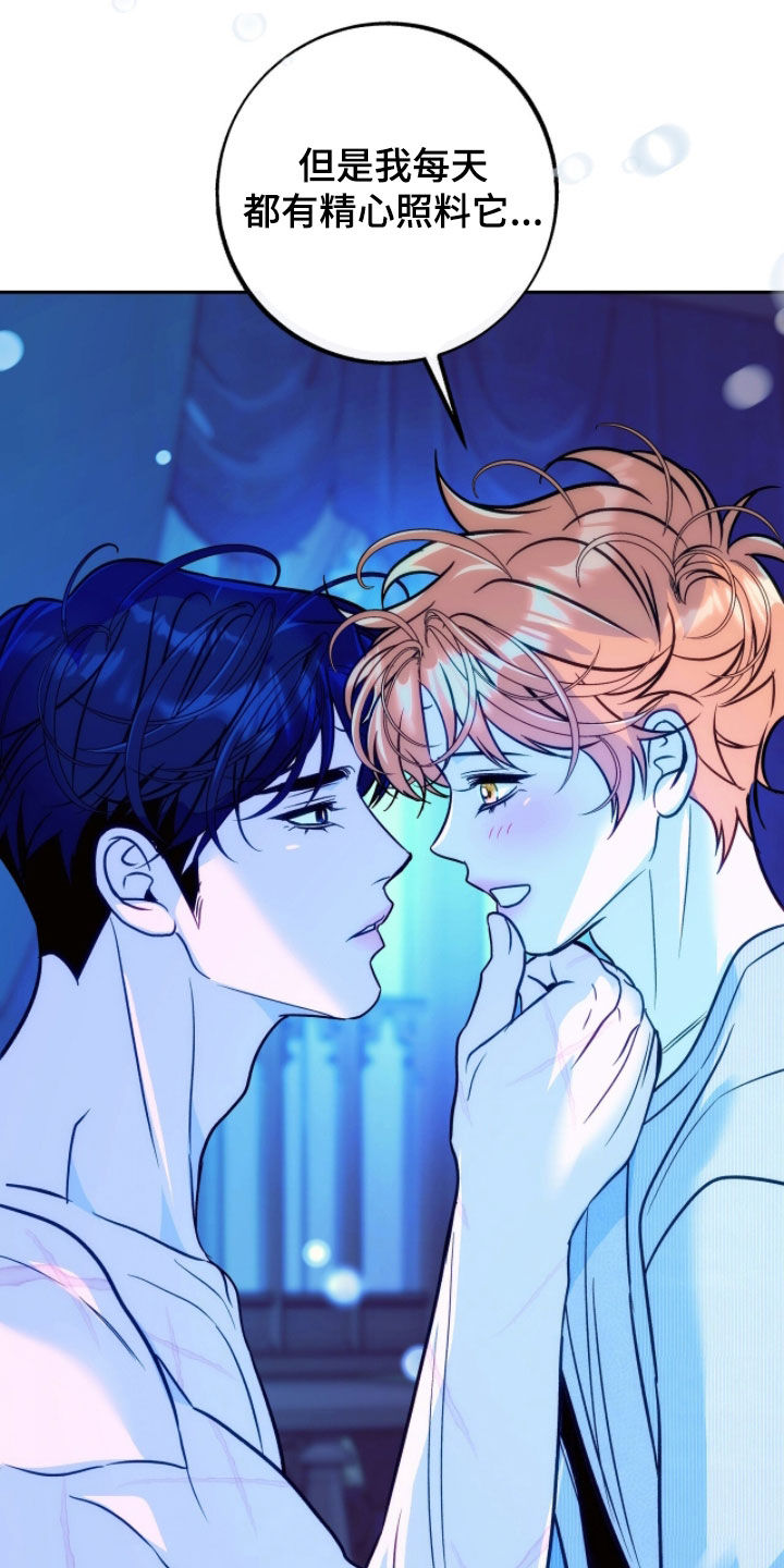 少爷的金鱼仆从漫画,第31章：我是想见你3图