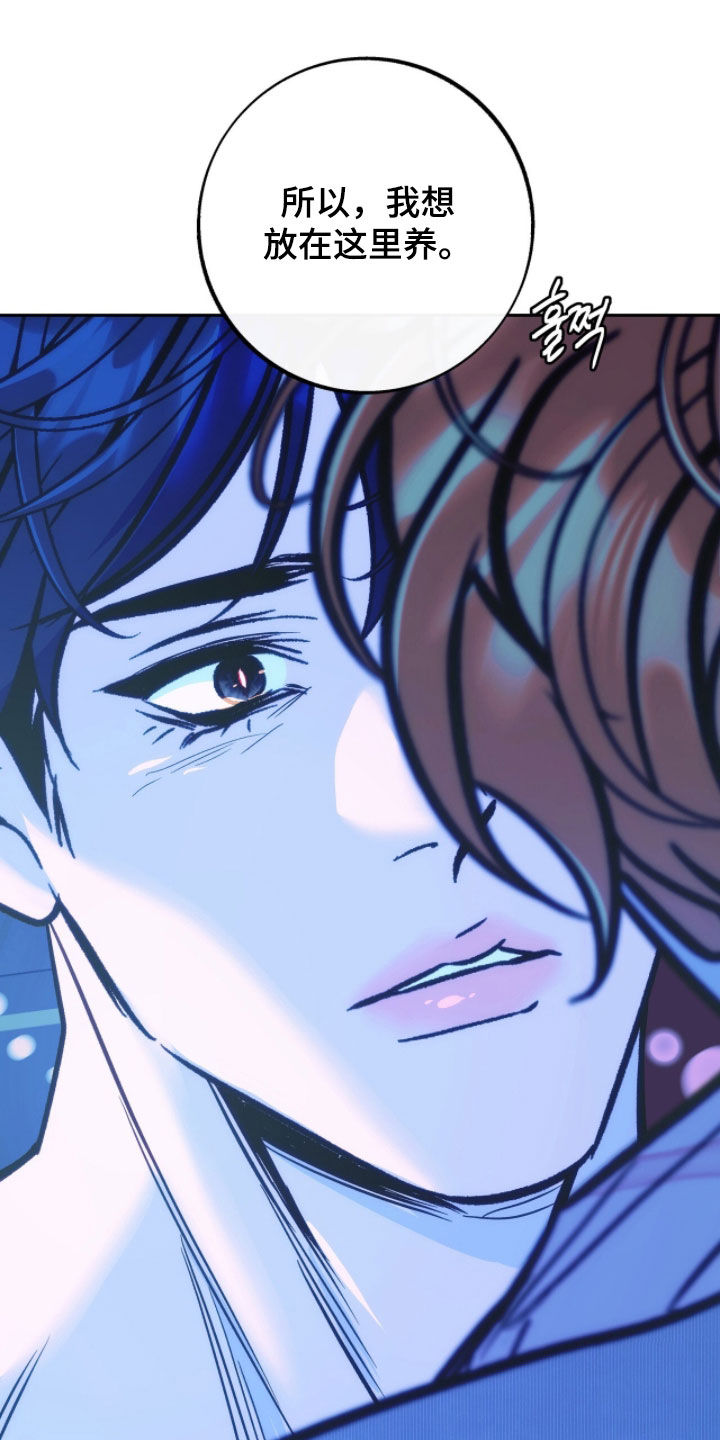 少爷的金鱼仆从漫画,第31章：我是想见你5图