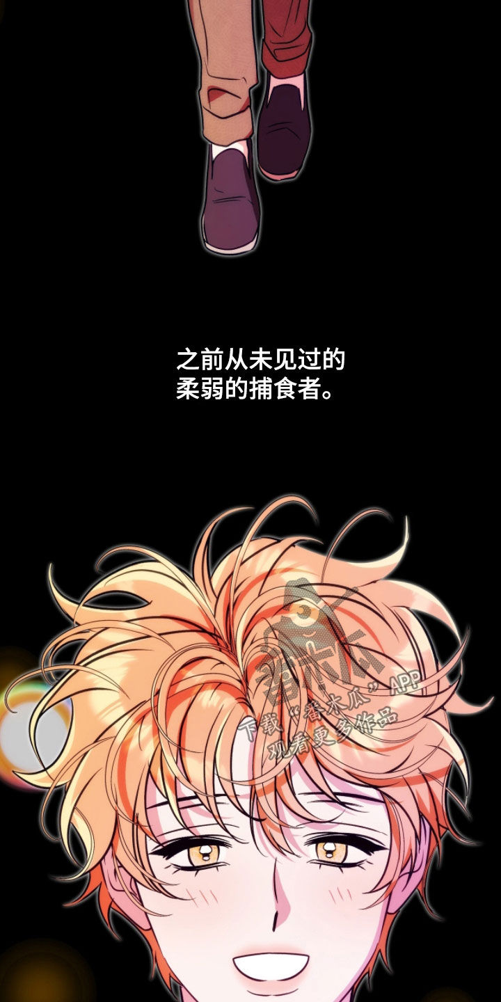 少爷的金鱼仆从漫画,第30章：睡不着觉5图