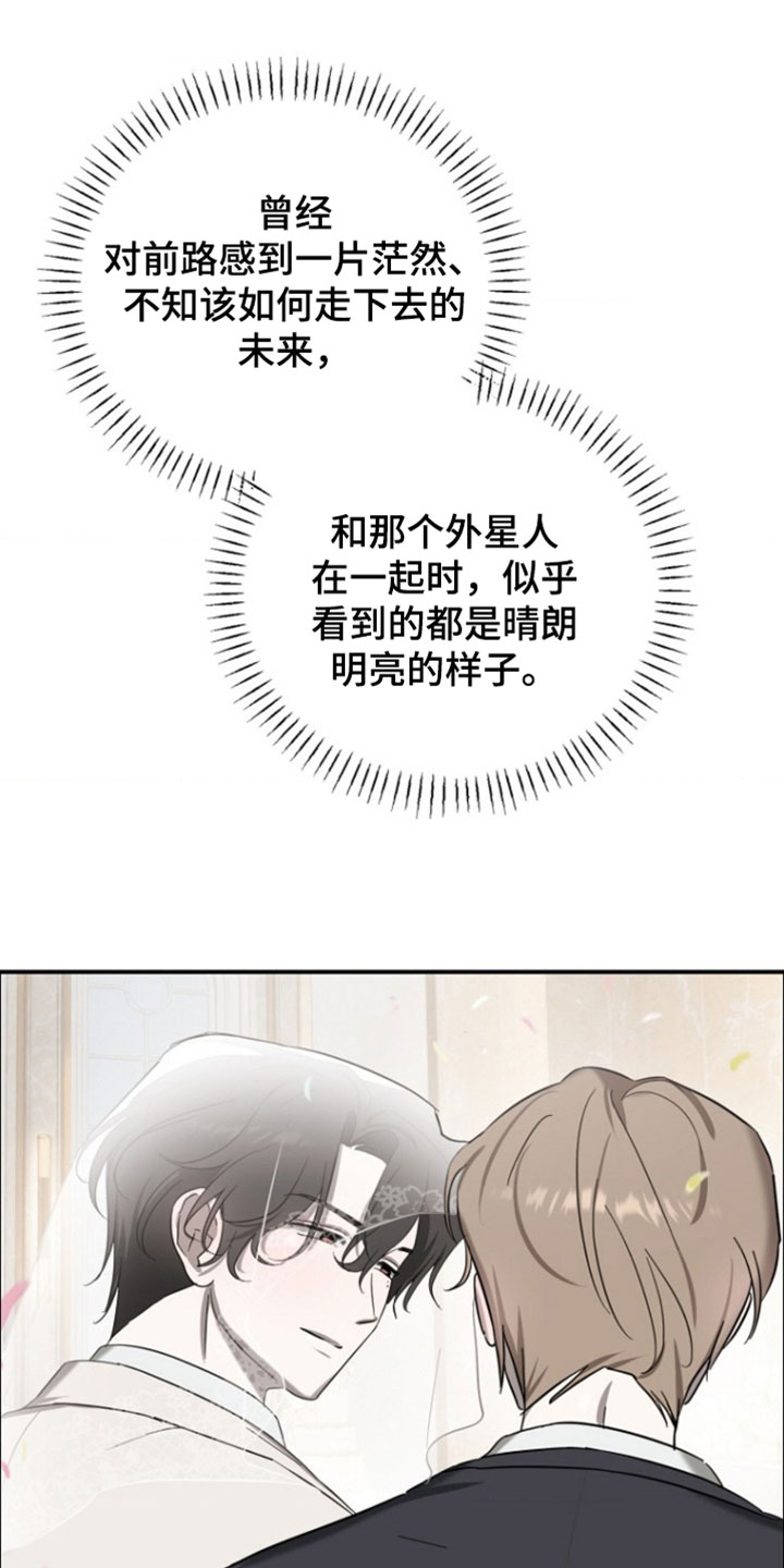 喂饱你表情包漫画,第26章：结婚2图