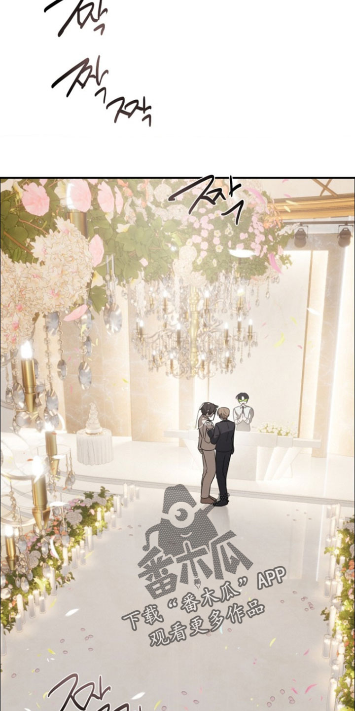 喂饱他打包带走漫画,第26章：结婚2图