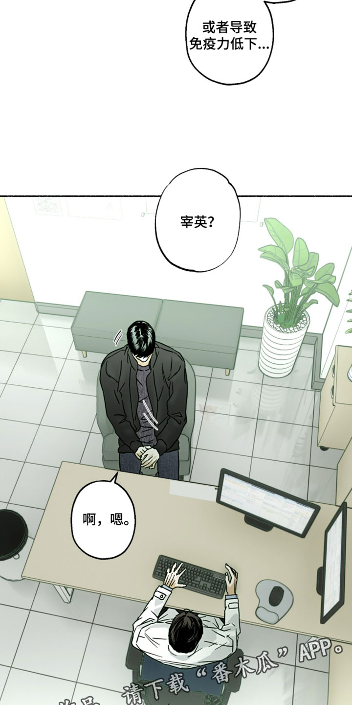 梦想男孩漫画,第35章：做些心情好的事5图