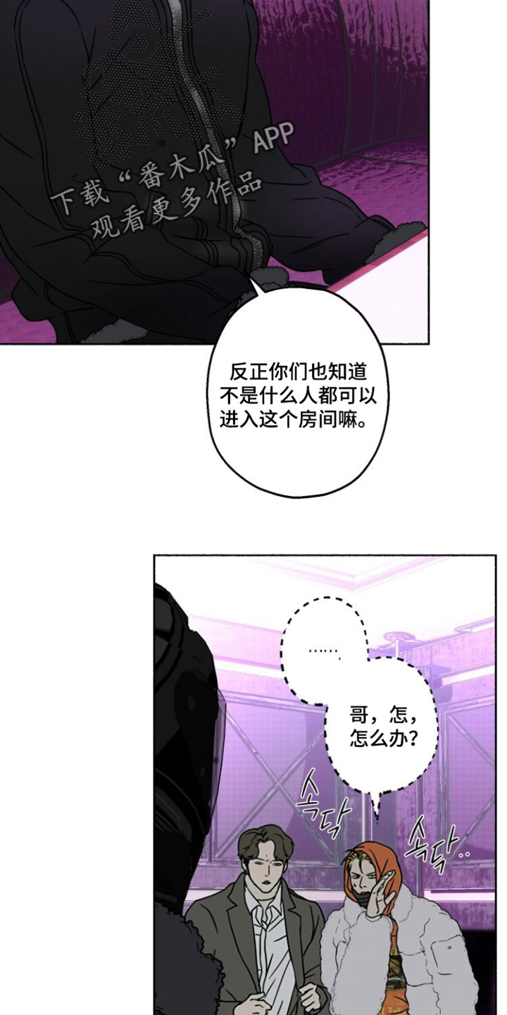 梦想男孩的英文怎么写漫画,第41章：偶然1图